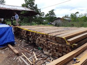 Polisi Sita Ratusan Balok Kayu Ilegal di Kalbar