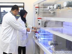 6 Pekerjaan dengan Pendapatan Besar untuk Lulusan Teknik, Apa Aja Ya?