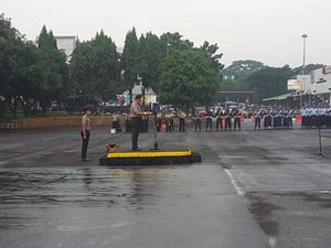 Sasaran Operasi Keselamatan: Lawan Arus hingga Menggunakan HP Sasaran Operasi Keselamatan: Lawan Arus hingga Menggunakan HP