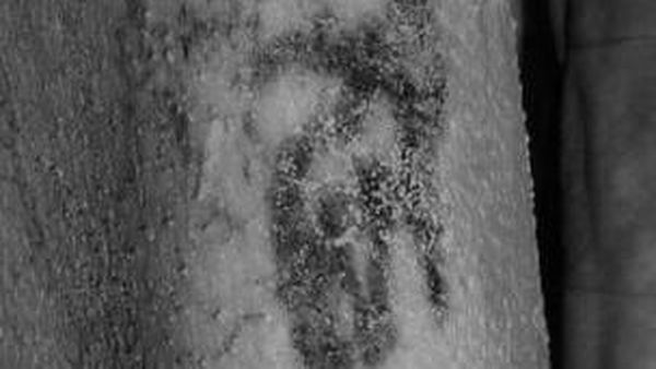 Foto: Tato Tertua di Dunia Ditemukan di Mumi 5 Ribu Tahun