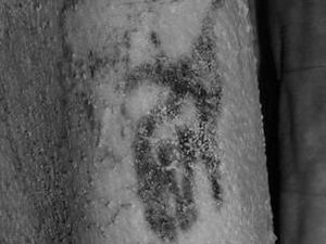 Foto: Tato Tertua di Dunia Ditemukan di Mumi 5 Ribu Tahun Foto: Tato Tertua di Dunia Ditemukan di Mumi 5 Ribu Tahun