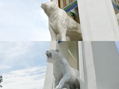 Before-After Tugu Patung Maung Bandung yang Disebut Mirip Anjing Laut