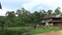 Foto: Kampung Batman di Maros, Ribuan Kelelawar Akur dengan Manusia