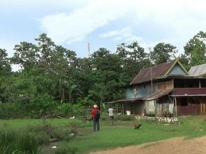Foto: Kampung Batman di Maros, Ribuan Kelelawar Akur dengan Manusia Foto: Kampung Batman di Maros, Ribuan Kelelawar Akur dengan Manusia