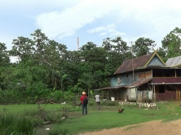 Foto: Kampung Batman di Maros, Ribuan Kelelawar Akur dengan Manusia