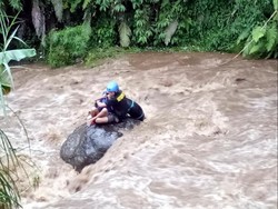 Kepanikan Ebah Saat Anaknya Terseret Air Bah Sungai Cigunung