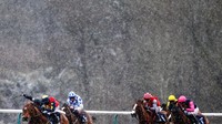 Selain stadion sepakbola dan sirkuit balap, salju juga tidak absen untuk hadir dalam sebuah aktivitas olahraga balap kuda di Lingfield Park, Inggris. (Foto: Alan Crowhurst/Getty Images)