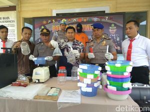 Akhirnya Polisi Tangkap Aktor Utama Perdagangan Lobster di Banyuwangi Akhirnya Polisi Tangkap Aktor Utama Perdagangan Lobster di Banyuwangi