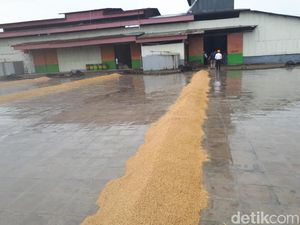 Pakai Listrik, Biaya Produksi Pabrik Penggilingan Ini Hemat Rp 400 Ribu