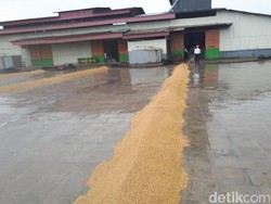 Pakai Listrik, Biaya Produksi Pabrik Penggilingan Ini Hemat Rp 400 Ribu