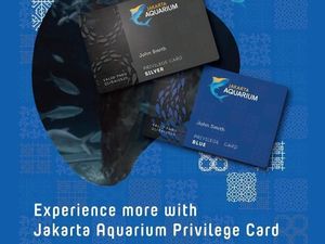 Privilege Card Jakarta Aquarium untuk Bebas Main Setahun Privilege Card Jakarta Aquarium untuk Bebas Main Setahun