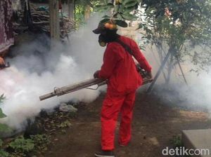 Ini Sebabnya Fogging Nggak Pernah Efektif Berantas Nyamuk