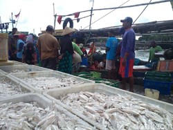 Dua Bulan Bersandar, Nelayan Demak Kembali Melaut