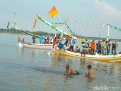 Paus Terdampar di Situbondo Sempat Ditarik Kapal Tapi Gagal