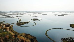 Foto: Danau di India Punya Pulau yang Bisa Gerak Sendiri, Ajaib!