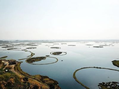 Foto: Danau di India Punya Pulau yang Bisa Gerak Sendiri, Ajaib!