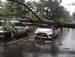 2 Mobil Tertimpa Pohon di Bandung, Polisi: Tidak Ada Korban Jiwa