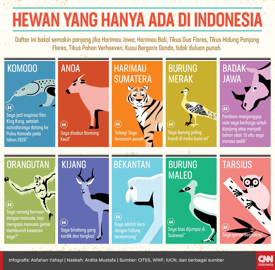 Infografis Hewan yang Hanya Ada di Indonesia