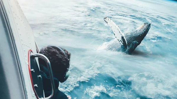 Foto Manipulasi Kece Besutan Pemuda Sidoarjo