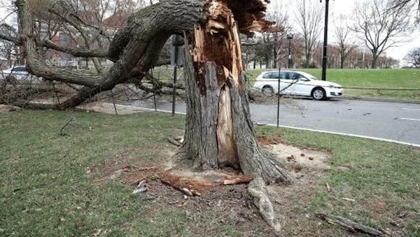 Foto: Ganasnya Badai Musim Dingin yang Tewaskan 5 Orang di AS