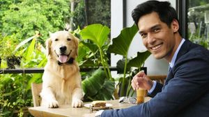 Ngopi Bareng, Ini Pose Richo Kyle dan Golden Retriever yang Bikin Gemas!