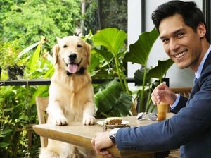 Ngopi Bareng, Ini Pose Richo Kyle dan Golden Retriever yang Bikin Gemas!