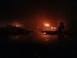 Pabrik Pengolahan Kayu di Pasuruan Terbakar