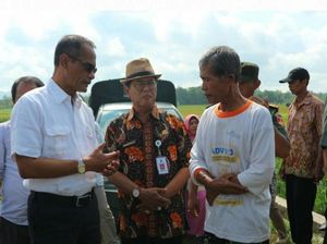 Kementan Target 2,2 Juta Ton Beras Terserap hingga Juni