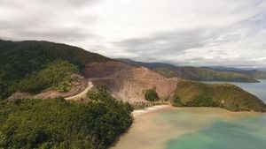 Tembus Hutan dan Bukit, Jalan Trans Papua Barat Sudah Tersambung
