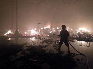 Kebakaran Pabrik Pengolahan Kayu Padam, 6 Kontainer Mebel Ludes