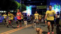 Unik! Lomba Lari Bareng Anjing Berhadiah Sampo di Filipina