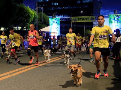 Unik! Lomba Lari Bareng Anjing Berhadiah Sampo di Filipina