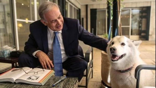 Kesedihan PM Israel Saat Anjing Kesayangannya Mati