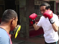 Video Aksi Jokowi Berlatih Tinju dengan Ajudan