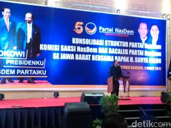 NasDem Bakal Total Menangkan Jokowi di Pilpres 2019