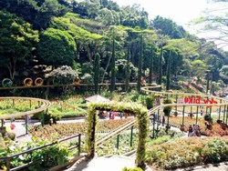 10 Rekomendasi Wisata Taman Bunga di Batu yang Cantik nan Aesthetic