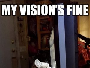 15 Meme yang Paling Ngena Buat Para Pengguna Kacamata