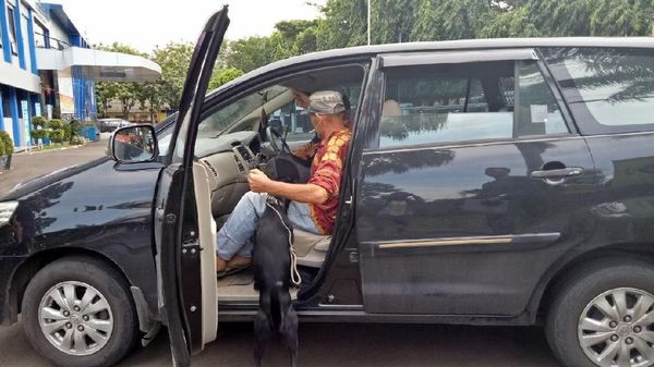 Foto: Ian Bule Luntang-lantung Bawa Anjing Saat Dipindah ke Jakpus