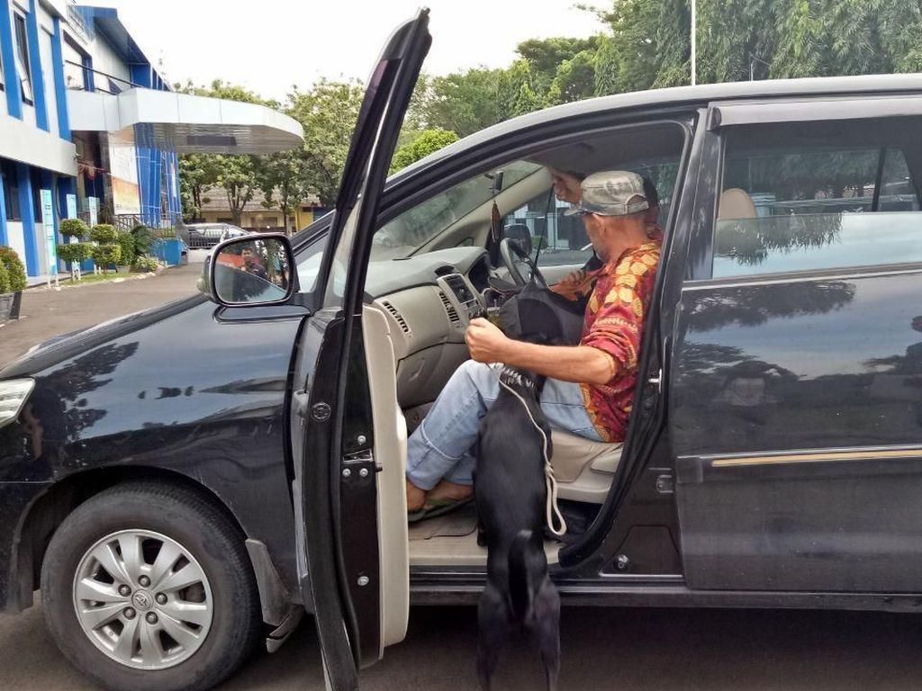 Foto: Ian Bule Luntang-lantung Bawa Anjing Saat Dipindah ke Jakpus Foto: Ian Bule Luntang-lantung Bawa Anjing Saat Dipindah ke Jakpus