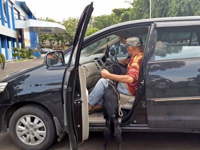 Foto: Ian Bule Luntang-lantung Bawa Anjing Saat Dipindah ke Jakpus