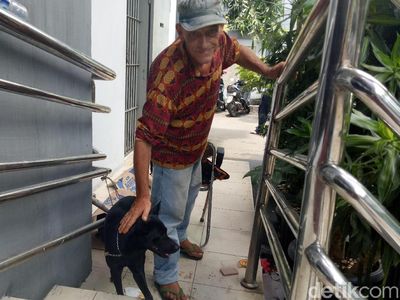 Foto: Obey, Anjing yang Setia Temani Ian Bule Luntang-lantung