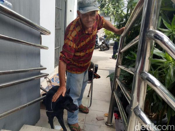 Foto: Obey, Anjing yang Setia Temani Ian Bule Luntang-lantung