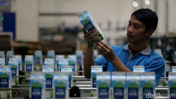 Melihat Pabrik Susu Modern di Malang