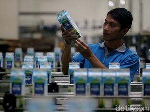 Melihat Pabrik Susu Modern di Malang Melihat Pabrik Susu Modern di Malang