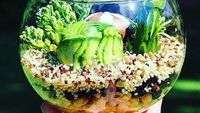 Keren! Cake Ini Dibentuk Seperti Kaktus dan Sukulen Asli!