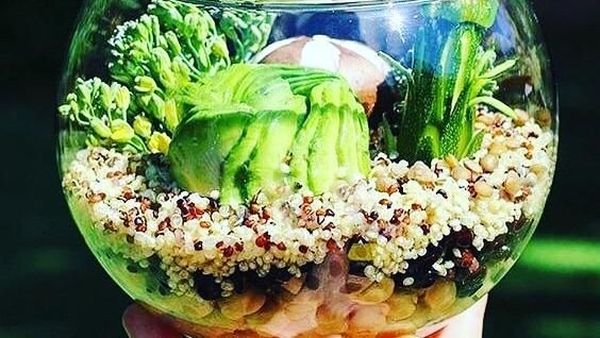 Keren! Cake Ini Dibentuk Seperti Kaktus dan Sukulen Asli!