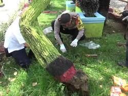 Polisi Olah TKP Lokasi Terbunuhnya Pemuda Ber-Jersey Persebaya