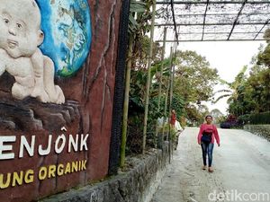 Begini Awal Mulanya Kampung Organik Brenjonk Dirintis