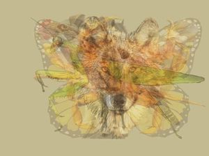 Hewan yang Pertama Kamu Lihat Akan Ungkap Kepribadianmu, Mau Coba?