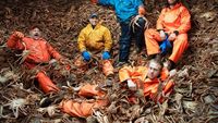 Ketika Nelayan Mempertaruhkan Nyawa Demi Mencari Kepiting Raja Alaska